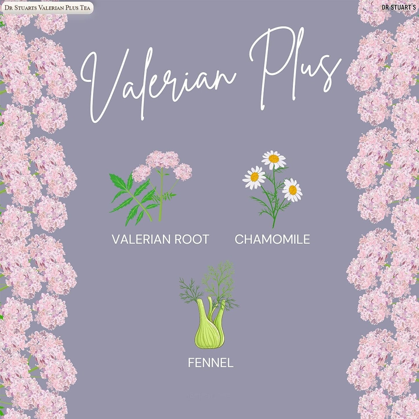 Dr Stuarts Valerian Plus Herbal Tea 15 Bags (Pack of 4)