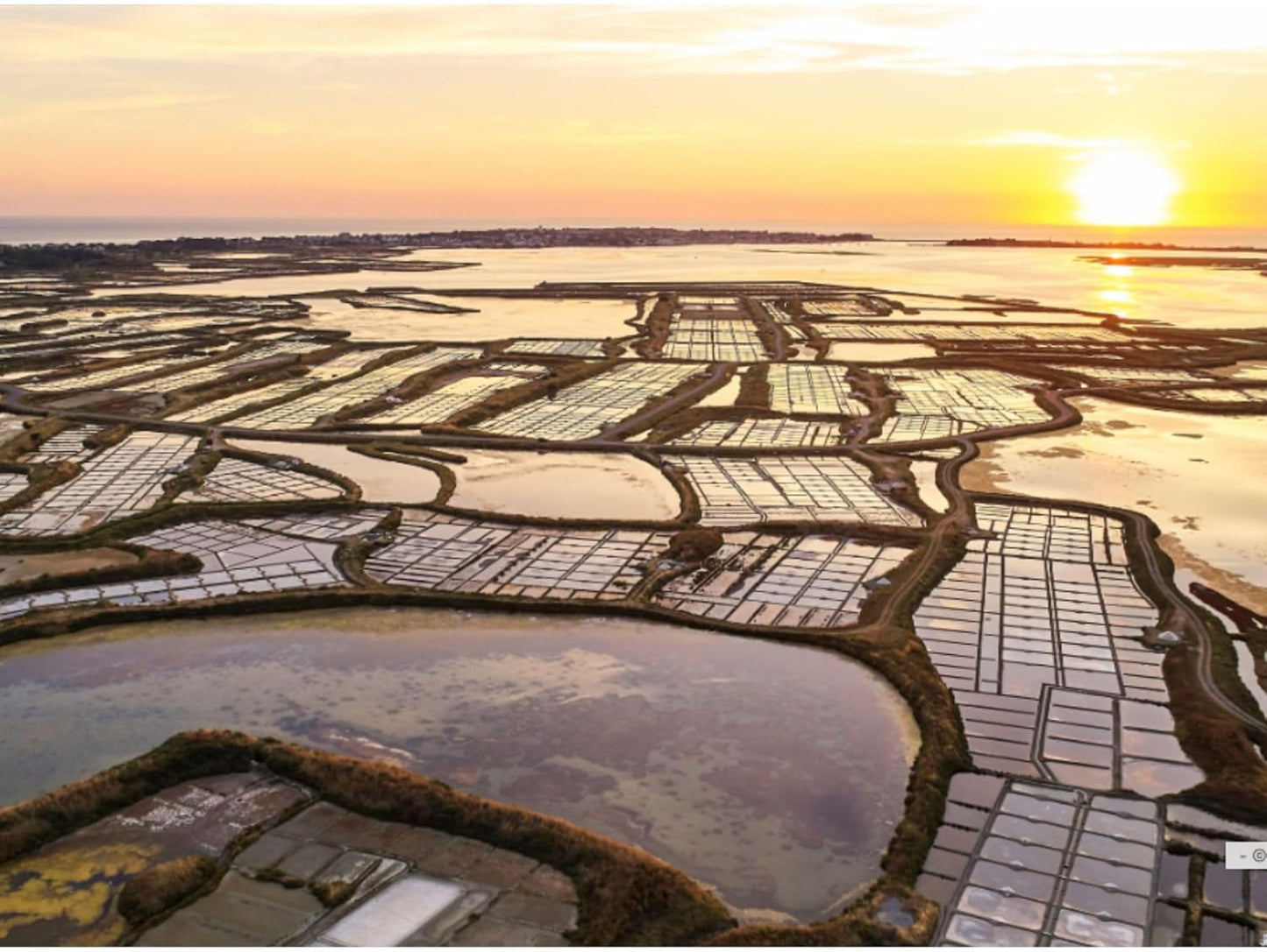 Le Paludier Sel de Guerande Celtic Sea Salt Shaker Fine 250g Pack of 2