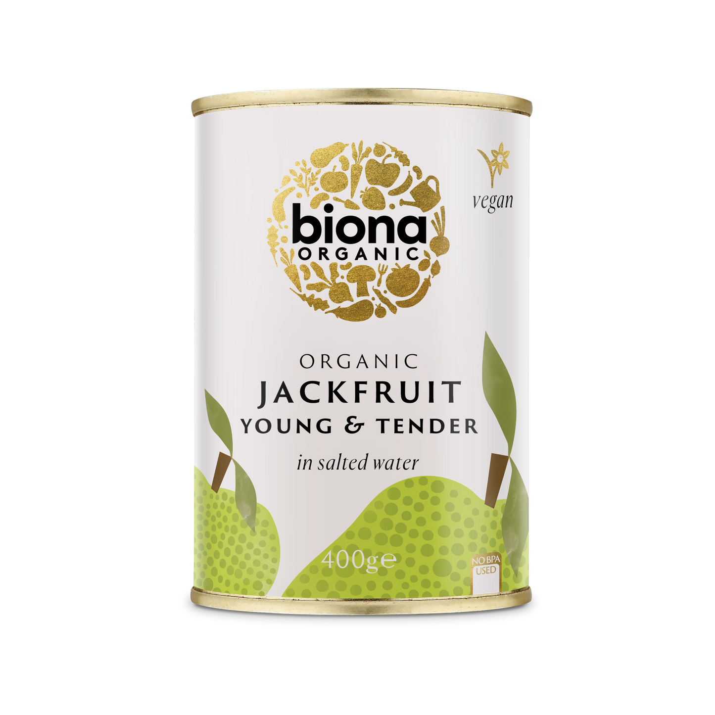 Biona Organic Young Jackfruit in Salted Water 400g - Pack of 6